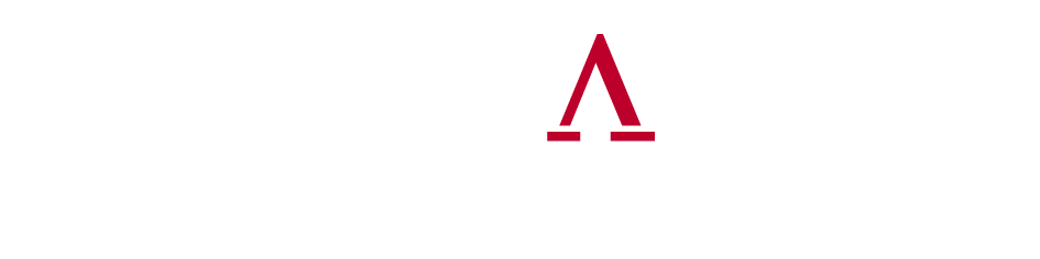 Logo Vidazz - bouwkundig ontwerp